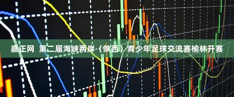 嘉正网  第二届海峡两岸（陕西）青少年足球交流赛榆林开赛