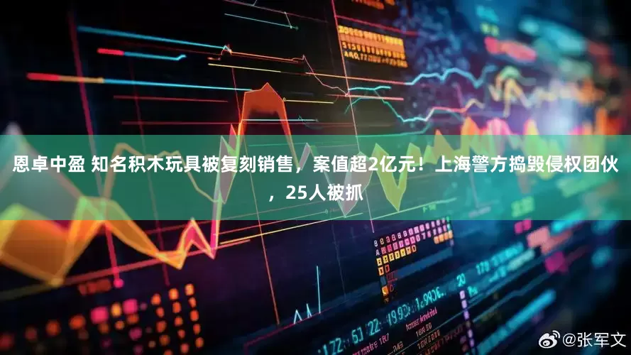 恩卓中盈 知名积木玩具被复刻销售，案值超2亿元！上海警方捣毁侵权团伙，25人被抓