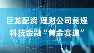 巨龙配资 理财公司竞逐科技金融“黄金赛道”