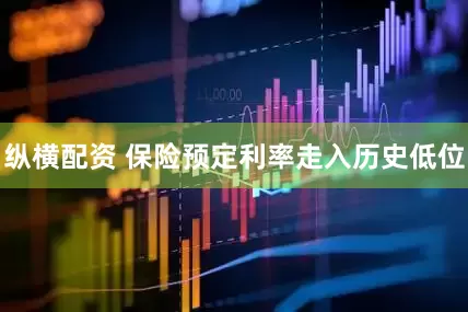 纵横配资 保险预定利率走入历史低位