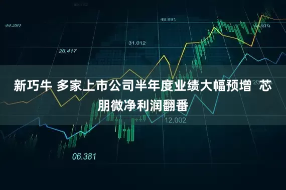 新巧牛 多家上市公司半年度业绩大幅预增  芯朋微净利润翻番