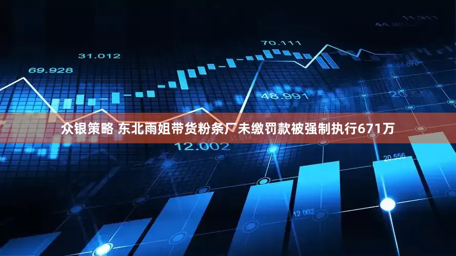 众银策略 东北雨姐带货粉条厂未缴罚款被强制执行671万