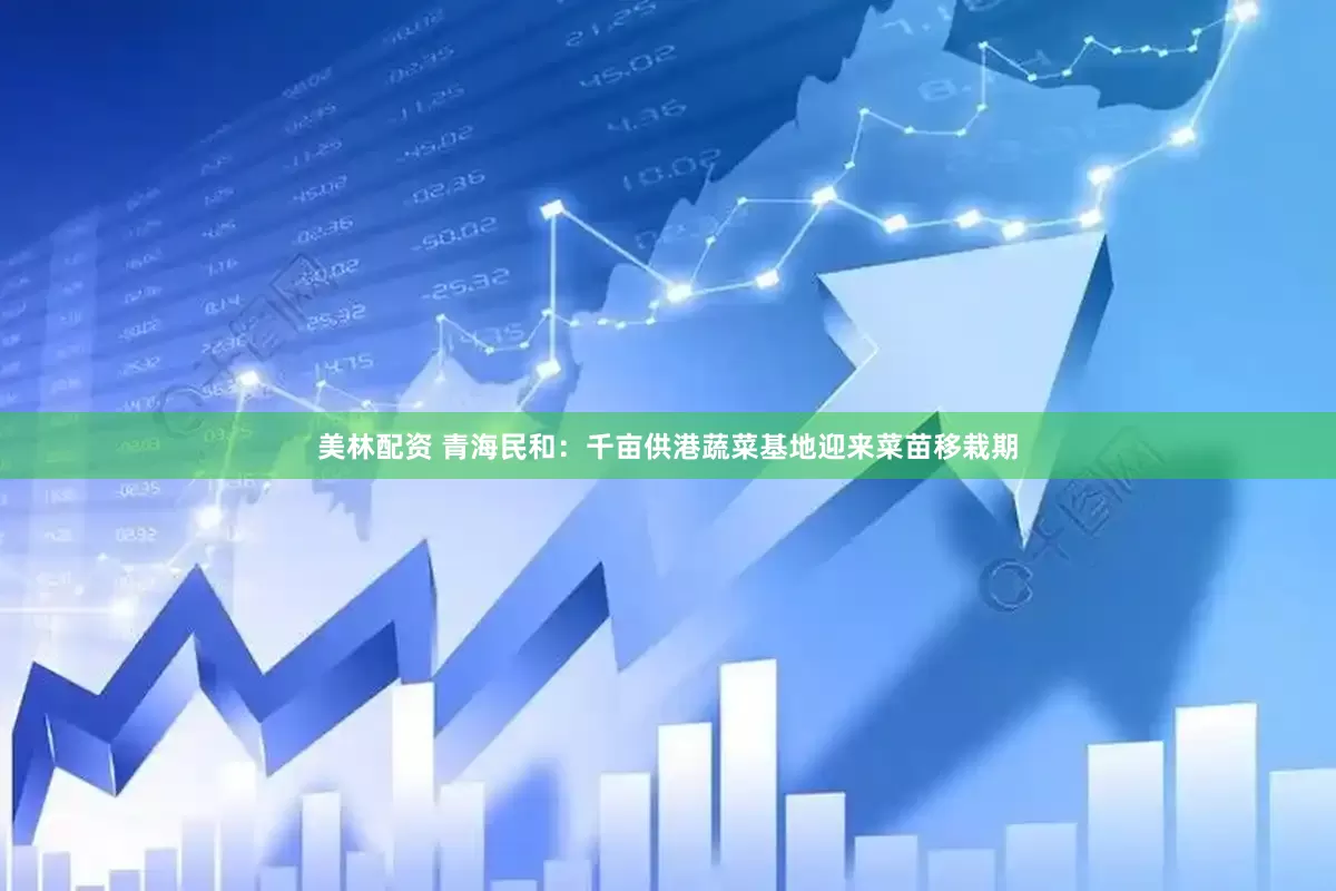 美林配资 青海民和：千亩供港蔬菜基地迎来菜苗移栽期