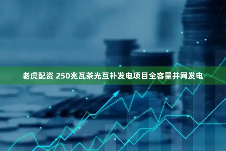 老虎配资 250兆瓦茶光互补发电项目全容量并网发电